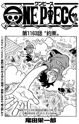 ワンピース1163話扉絵