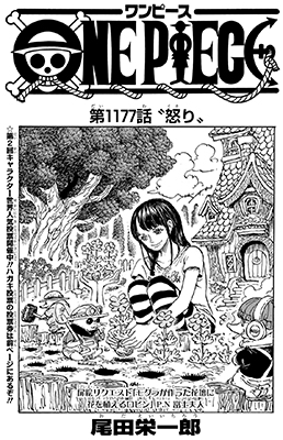 ワンピース1177話扉絵