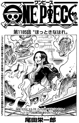 ワンピース1185話扉絵